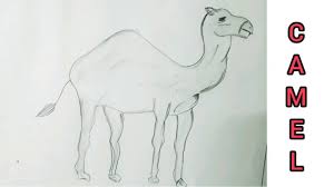 Camel is the best way of transport in deserts. How To Draw A Camel Easy Drawing Step By Step For Kids Jass Craftideas Youtube