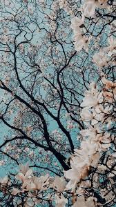 Iphone Lightning Cable 6ft Iphone Zoom Lens Iphone 8 Iphone 7 Plus Rose Gol In 2020 Flowers Photography Wallpaper Photography Wallpaper Iphone Background Wallpaper