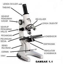 Maybe you would like to learn more about one of these? Bagian Bagian Mikroskop Dan Fungsinya E Dukasi Blog