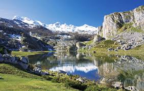 Asturian culture through asturian cultural facilities. Naturaleza De Asturias Informacion Y Fotos De La Flora Y Fauna Asturiana