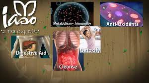 Iaso Tea Iaso Tea Reviews Ingredients Testimonials Side Effects Herbal Organic Weight Loss Youtube