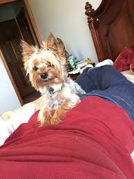 Jun 17, 2021 · a child detention centre was shut down over safety concerns last night. Over Shoulder Selfie Album On Imgur