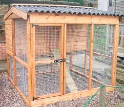 Cara buat reban ayam simple. Kandang Ayam Mini 314167 Info
