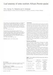 Image result for Pavetta lasiopeplus