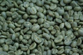 Resultado de imagen de cafe pergamino