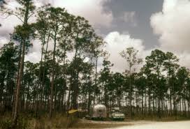 We did this as full time rvers and not when we lived in a sticks & bricks though we lived in. Florida Memory Airstream Trailer With Dodge Sierra Wagon Parked At Long Pine Key Campground In The Everglades National Park