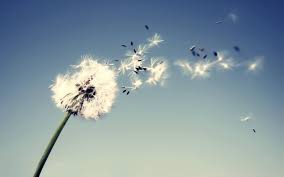 Los Origenes Del Viento Siempre En Las Nubes