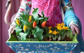 Maybe you would like to learn more about one of these? Spring Decorating Ideas Refresh Your Home With Spring Flowering Bulbs