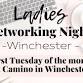 Winchester Ladies Networking Night event image