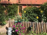 Uetersen is home to the rosarium uetersen, the oldest and largest rose garden in northern. Gguwtib2jjwfgm