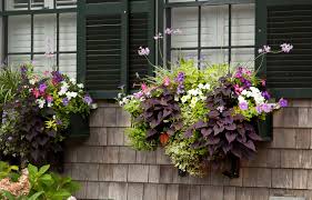 Flower boxes and window box planters are great for gardening in small spaces! Window Boxes How To Choose The Best Flowers Planters This Old House