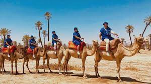 This route will allow you to discover a small oasis hidden. Half Day Camel Ride In Marrakech