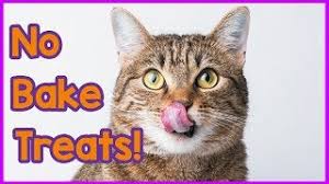 This recipe makes 18 ounces of treats. Delicious Easy No Bake Cat Treats How To Make Simple Homemade No Bake Tuna Cat Treas Youtube