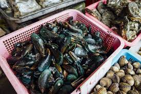 We did not find results for: Amankah Ibu Hamil Makan Kerang Ini Penjelasannya