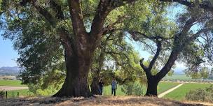 Vineyard Hike & Picnic