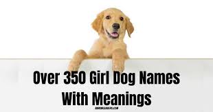 Symbols for styling free fire pet name. Over 500 Of The Best Female Dog Names And Meanings Updated 2020