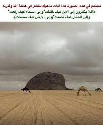 سبحان الله العظيم Islamic Calligraphy Animals Painting