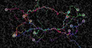 pin on visualizations