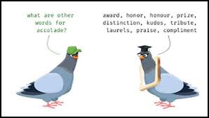 Accolade Learn Accolade Meaning Definition Synonyms And Usage