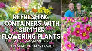 Maybe you would like to learn more about one of these? Refreshing Containers With Summer Flowering Plants For Pots Youtube