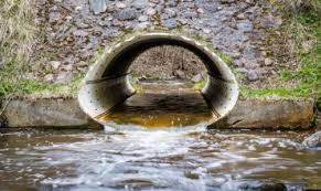 Sunt le pune pe ceas cult. Gamtos Knyga Nuotraukos Gamtos Knyga