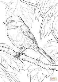 All these santa coloring pages are free and can be printed in seconds from your computer. Black Capped Chickadee Coloring Page Free Printable Coloring Pages Bird Coloring Pages Coloring Pages Free Coloring Pages