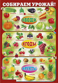 загадки для детей 4 лет про овощи и фрукты Stend Naglyadnye Uchebnye Posobiya Plakat Doshkolnik
