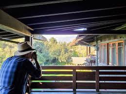 Exploring The Gamble House