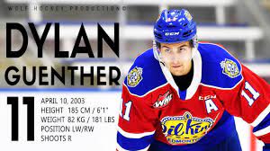 Последние твиты от dylan d. The Best Of Dylan Guenther Top Prospect For The Nhl 2021 Draft Hockey Highlights Hd Youtube