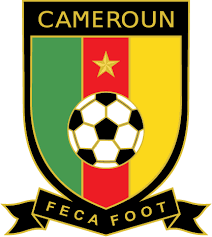 Cameroon Football Team Logos National Football Football Team