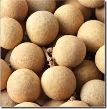 Asia is the land with a large diversity of fruits. Food Facts Longan Indian Recipes Blogexplore