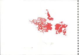 Image result for Harpachne schimperi