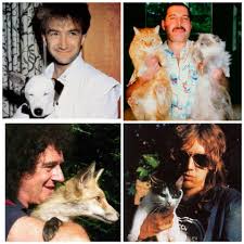 Queen Members With Animals Queen Band Queen Friend John Deacon