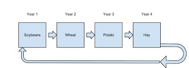 Crop Rotation Definition And Benefits My Farm Education