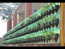 Adhere the bottles to a wooden frame and arrange them. The Green Wall Educational Vertical Garden Bottle System Project Youtube
