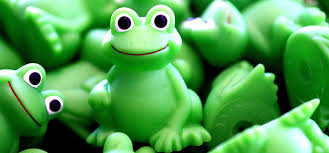 Image result for Faces of frogs, Army is full of frogs, groups of frogs are called an army, did you know?