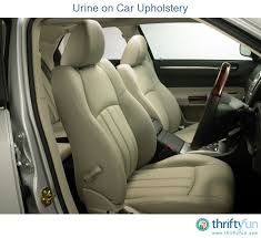 Cleaning Urine On Car Upholstery Cleaning Car Upholstery Clean Car Seats Car Upholstery