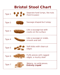 Doo And You What The Bristol Stool Chart Tells Us About