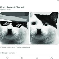 Image result for kitler