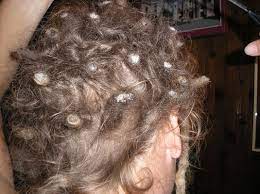 How to remove dreads without cutting them! How To Remove Dreads Without Cutting Them Divine Dreadlocks