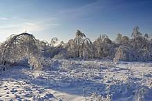 Wir kennen den nördlichen wendekreis des krebses und den südlichen wendekreis des steinbocks. Winter Wikipedia