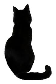 Black Cat Stock I By Anothersunrise D4q8mfn Png 900 1350 Cat Vector Kitten Drawing Cat Outline