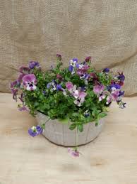 Save time on your trip to the home depot by scheduling your order with buy online pick up in store or schedule a delivery directly from your jackson store in jackson, mi. Beck S Flower Shop Gardens Inc Your Jackson Florist Online Michigan Flower Shop