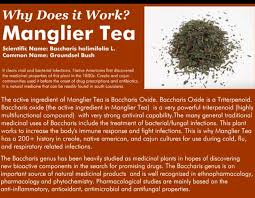 Manglier Is A Plant Native To Louisiana Da Berry Fresh Market Facebook Really nice and free 3d printer file and cnc file. louisiana da berry fresh market