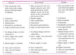 muscle tissue of animals origin and functions with diagram