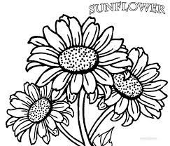 Printable Sunflower Coloring Pages For Kids Cool2bkids Flower Coloring Pages Sunflower Coloring Pages Sunflower Colors