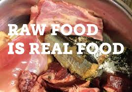 Never serve hot or cold food to your cat. What You Need To Know Before Feeding A Raw Dog Food Diet