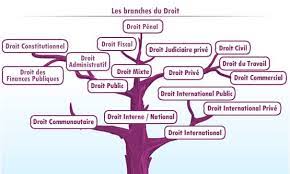 Check spelling or type a new query. Unjf Introduction Au Droit