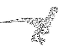 Jurassic world blue raptor coloring pages production was completed in may 2015 and jurassic dinosaur coloring pages dinosaur … Jurassic Park World Coloring Page Google Search Paginas Para Colorir Mundo Jurassico Jurassic Park