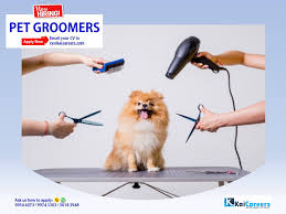 Prices listed may be higher or lower depending on the severity of the behavior based on the groomers discretion. Local Hiring In Kuwait Pet Kaicareers By Kaizen United Facebook